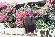 The veranda where we gather in Crete